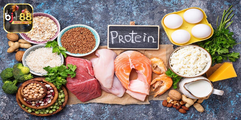 Cách nuôi gà đá tới pin - Hướng dẫn chi tiết từ A - Z 4 Protein giúp xây dựng cơ bắp, trong khi khoáng chất hỗ trợ sự phát triển toàn diện